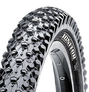 maxxis lust 26