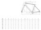 Велосипед шоссейный Bianchi INFINITO ICR Palladium 105 Carbon 2025 - 1