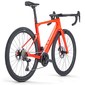 Элетровелосипед шоссейный BMC ROADMACHINE 01 AMP TWO 2024 - 2