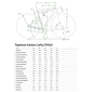 Велосипед гревел Cannondale TOPSTONE Carbon 2 Lefty Gravelbike 2022 - 1