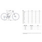Велосипед МТБ Orbea OIZ M10 XT Carbon 2025 - 1