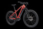 Электровелосипед Tout Terrain DIVIDE Select 5.1 Pinion E1.12 with Belt Drive - 2