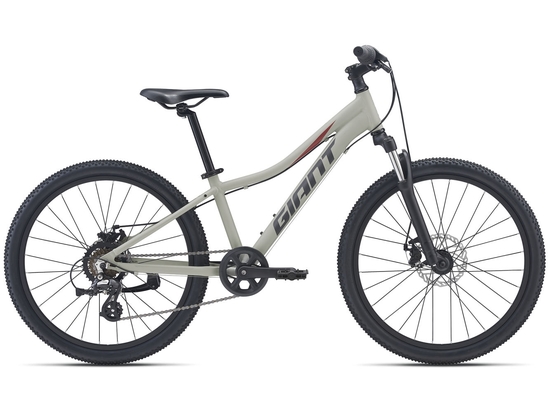 Велосипед 2021 Giant XtC Jr Disc 24